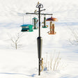 Squirrel Stopper System: A squirrel-proof pole with multiple bird feeders in the snow, featuring a floating baffle and decorative cardinal accent.