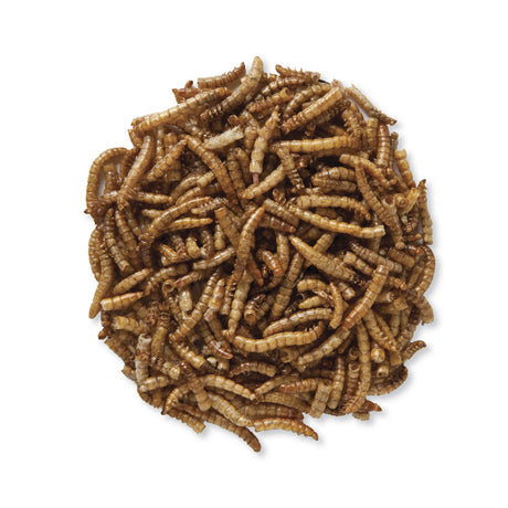 Duncraft Roasted Mealworms, 11200: Close-up of a pile of brown, dried mealworms, ideal for bird feeding with high-protein benefits and easy storage.