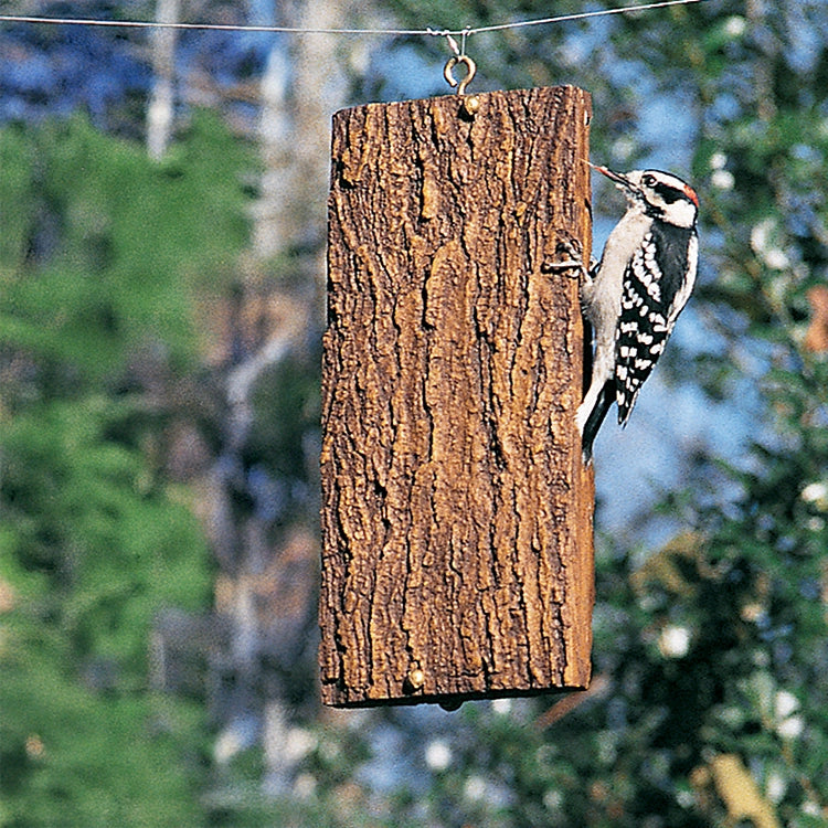 BirdsChoice Suet Sandwich Feeder