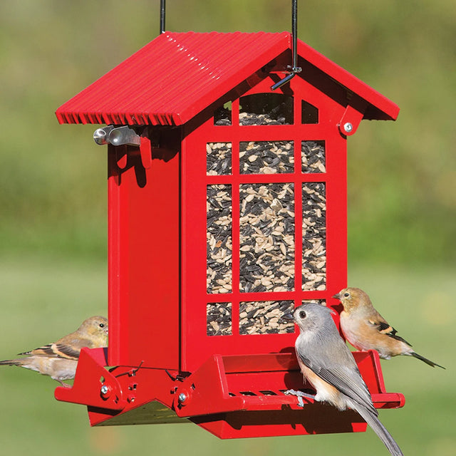 Chateau Squirrel-Resistant Feeder with birds perched on two feeding trays, displaying weight-activated perches and clear plastic windows for seed visibility.