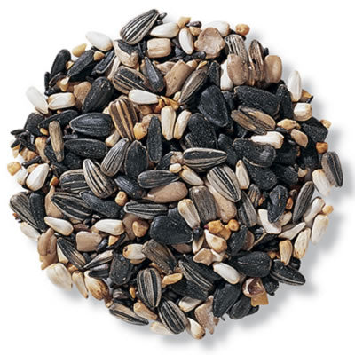 Pile of sunflower seeds from the Super Songbird Mix, featuring black oil and gray striped sunflower seeds, sunflower heart chips, Nyjer® seed, and peanut bits.