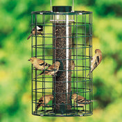 Duncraft Bird Sanctuary feeder with multiple birds perched on wire caging, designed to prevent squirrels from accessing seeds, holds 1.5 lbs of bird food.