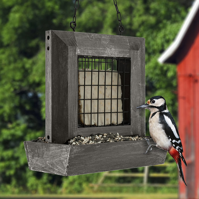 Rustic Farmhouse Wood Window Suet Feeder & Seed Box with bird perched on feeder, showcasing its suet and seed compartments for attracting various birds.