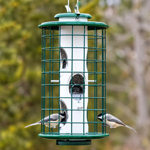 Two chickadees visiting a green squirrel-resistant caged bird feeder filled with sunflower seeds in a backyard setting.