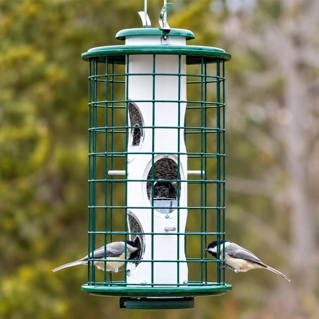 Two chickadees visiting a green squirrel-resistant caged bird feeder filled with sunflower seeds in a backyard setting.