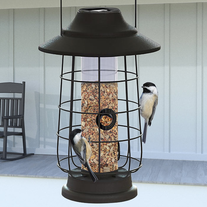 Modern Farmhouse Solar Lantern Tube Feeder with birds perched, featuring a protective cage and solar light functionality for night, holds 1/2 lbs. of seed.