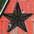 Barn Star Sunflower Feeder with star shape and steel mesh, filled with seeds, attracting birds to cling and dine.