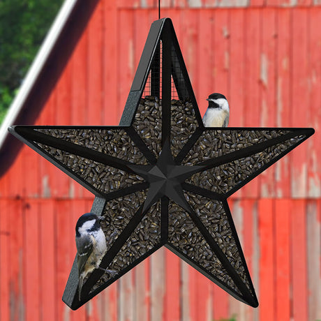 Barn Star Sunflower Feeder with star shape and steel mesh, filled with seeds, attracting birds to cling and dine.