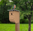 Nordic Habitat Modern Bluebird House with 1-9/16 inch entry, eucalyptus wood with teakwood finish, bird perched on wooden birdhouse, designed for bluebird nesting.