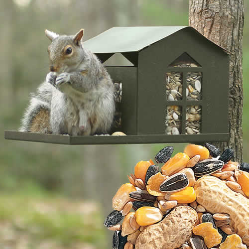 Metal Squirrel Feeder & Bird Seed Package: A squirrel sits on the feeder's porch, lifting the lid to access shelled peanuts and Wildlife Snack.