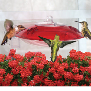 Droll Yankees Easy View Hummingbird Feeder with two feeding ports, clear bottom, red top, and built-in perches, mounted on a window for unobstructed viewing.