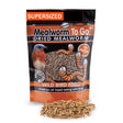 Dried Mealworms To Go, 17.64 oz. bag with bird image, ideal for all-year bird feeding, offering high-protein benefits without refrigeration needs.