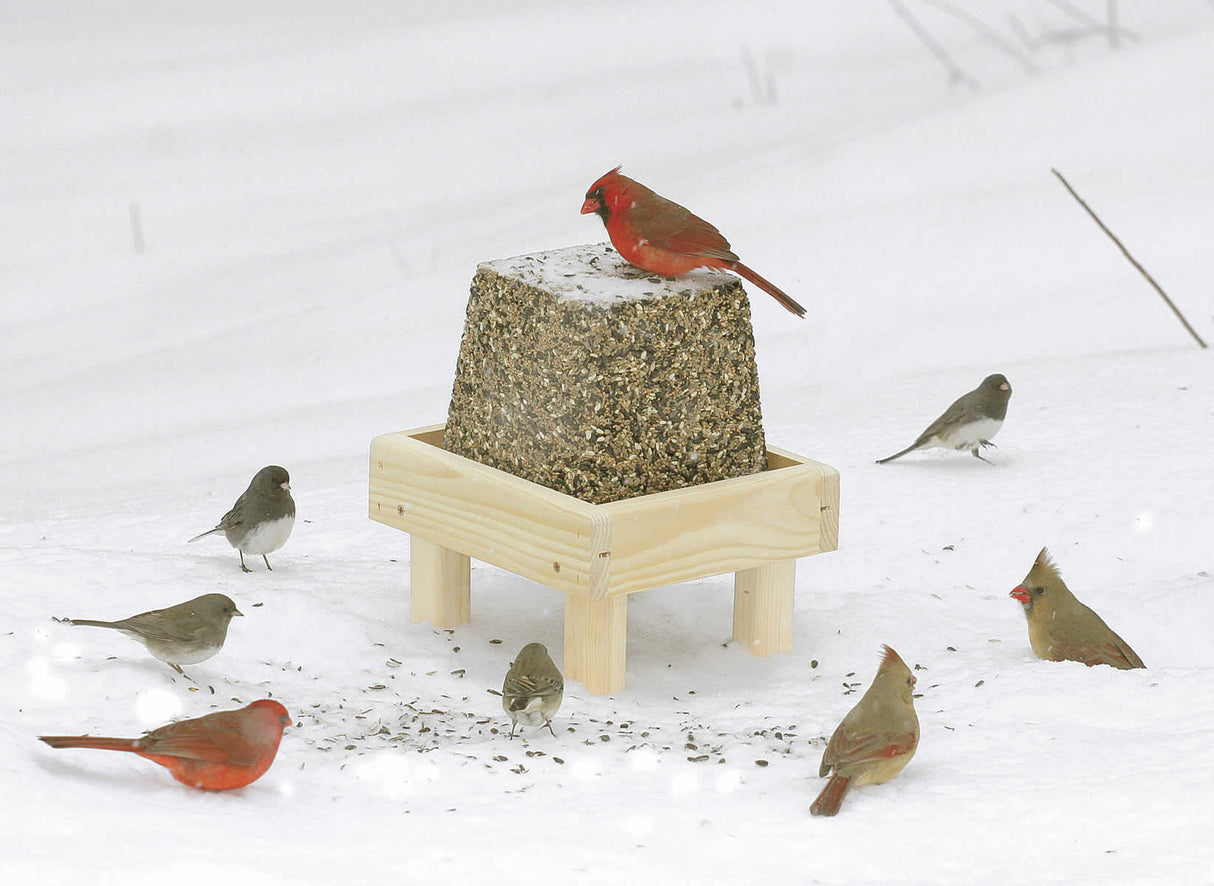 Duncraft Premium Jumbo Block in snow, surrounded by various birds feeding.