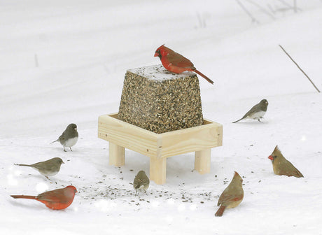 Duncraft Premium Jumbo Block in snow, surrounded by various birds feeding.