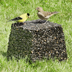 Duncraft Black Oil Jumbo Block: A bird perches on a large square seed block in the grass, designed to attract ground-feeding birds with black oil sunflower seeds.