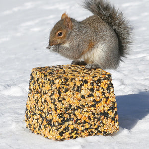 Squirrel eating from Wildlife Snack Jumbo Critter Block in snow, featuring seeds and nuts designed to attract wildlife while protecting bird feeders.