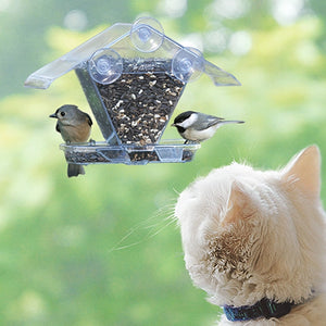 Two birds on a clear bird feeder with a cat observing from below.