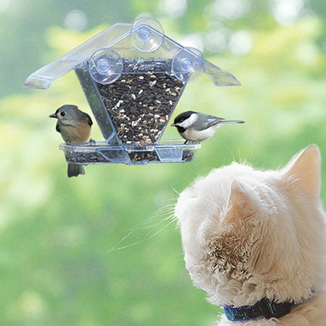 Two birds on a clear bird feeder with a cat observing from below.