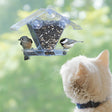 Aspects Window Cafe Feeder, a bird feeder with a hopper and two trays, attached to a window with suction cups, observed by a white cat.