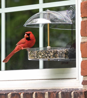 Droll Yankees Winner Window Feeder featuring a red cardinal on a height-adjustable, weather-protected, transparent bird feeder with drainage holes and suction cups for easy cleaning and refilling.