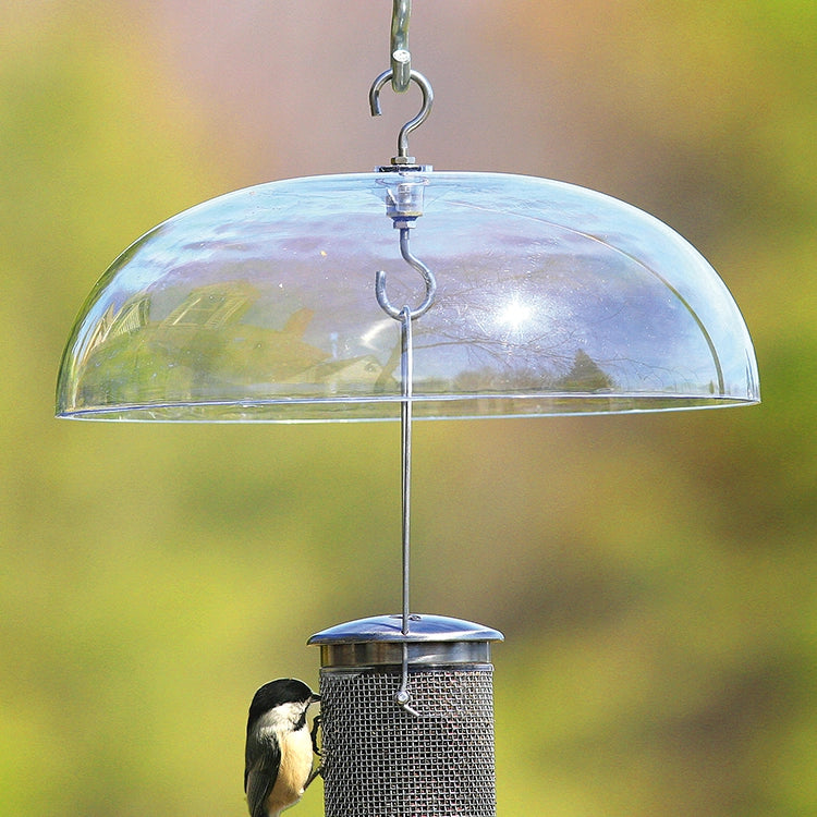 Aspects Weather Dome protecting a bird on a feeder, showcasing its clear plastic design and hanging hooks for easy cleaning and refill.