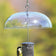 Aspects Weather Dome protecting a bird on a feeder, showcasing its clear plastic design and hanging hooks for easy cleaning and refill.