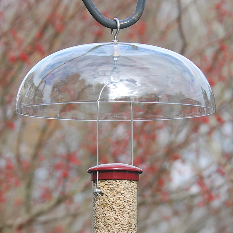 Aspects Weather Dome protecting a bird on a feeder, showcasing its clear plastic design and hanging hooks for easy cleaning and refill.