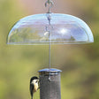 Aspects Weather Dome protecting a bird on a feeder, showcasing its clear plastic design and hanging hooks for easy cleaning and refill.