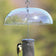Aspects Weather Dome protecting a bird on a feeder, showcasing its clear plastic design and hanging hooks for easy cleaning and refill.