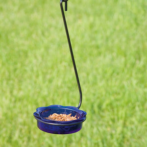 Hanging Glass Cup Feeder, Blue, featuring a blue bowl for bird food, elegantly designed with a black hook, ideal for attracting bluebirds.