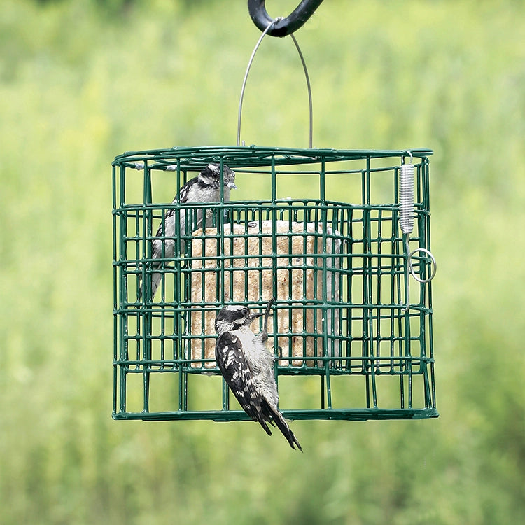 Duncraft Squirrel Proof Suet Sanctuary, an all-metal feeder with tightly woven fencing, prevents squirrels from reaching the suet cakes. Holds two suet cakes, easy top-fill design.