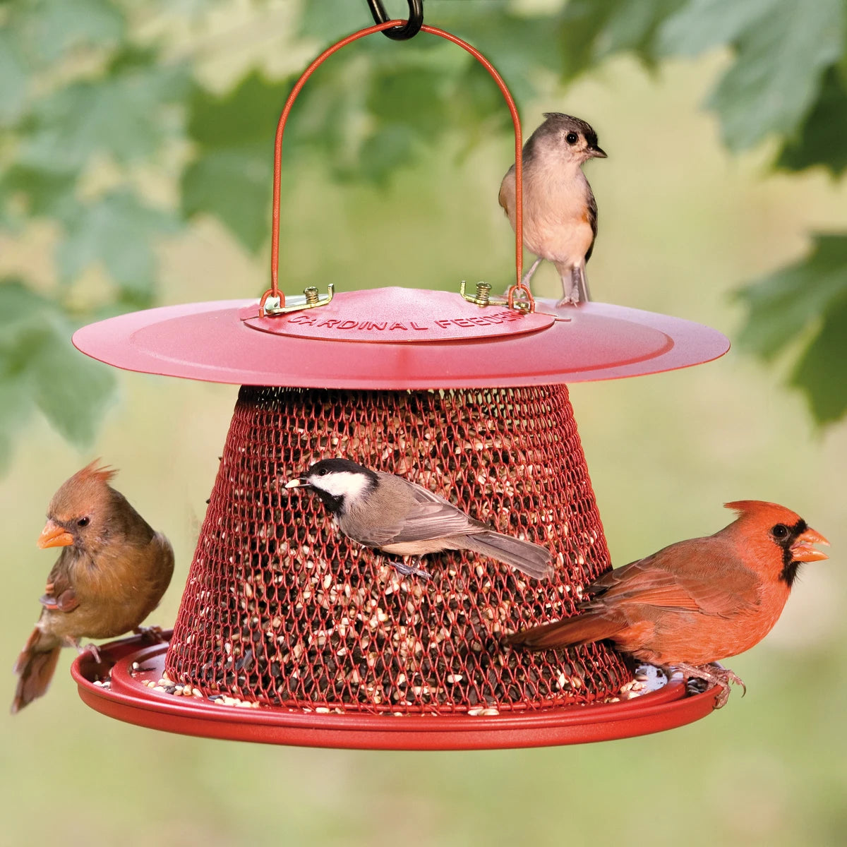 Cardinal No/No Feeder: Birds perching on a red mesh feeder with a wide tray and roof, designed for cardinals and smaller birds, holds 2.5 lbs of seed.