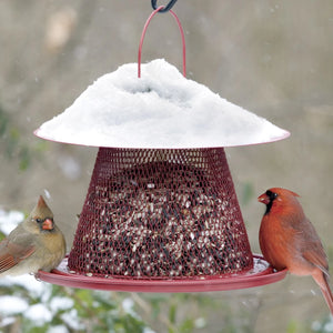 Cardinal No/No Feeder with wide tray and red mesh, featuring clinging and perching spaces, two birds feeding, and snow-covered background.