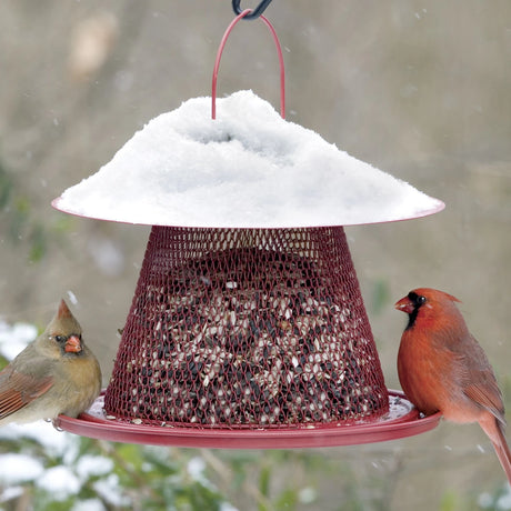 Cardinal No/No Feeder with wide tray and red mesh, featuring clinging and perching spaces, two birds feeding, and snow-covered background.