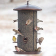 Giant Combo Seed Feeder with birds feeding at seed ports, mesh, and tray; features two compartments for different seeds and a 10 lb capacity.