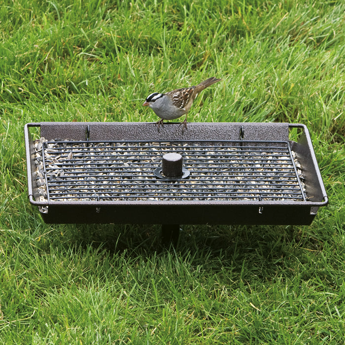 3 In 1 Platform Feeder with a bird perched on the feeder. Versatile for hanging, pole-mounting, or ground use, holding 6 lbs of seed.