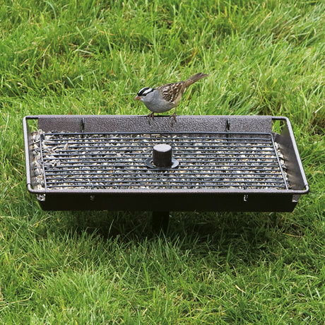 3 In 1 Platform Feeder with a bird perched on the feeder. Versatile for hanging, pole-mounting, or ground use, holding 6 lbs of seed.