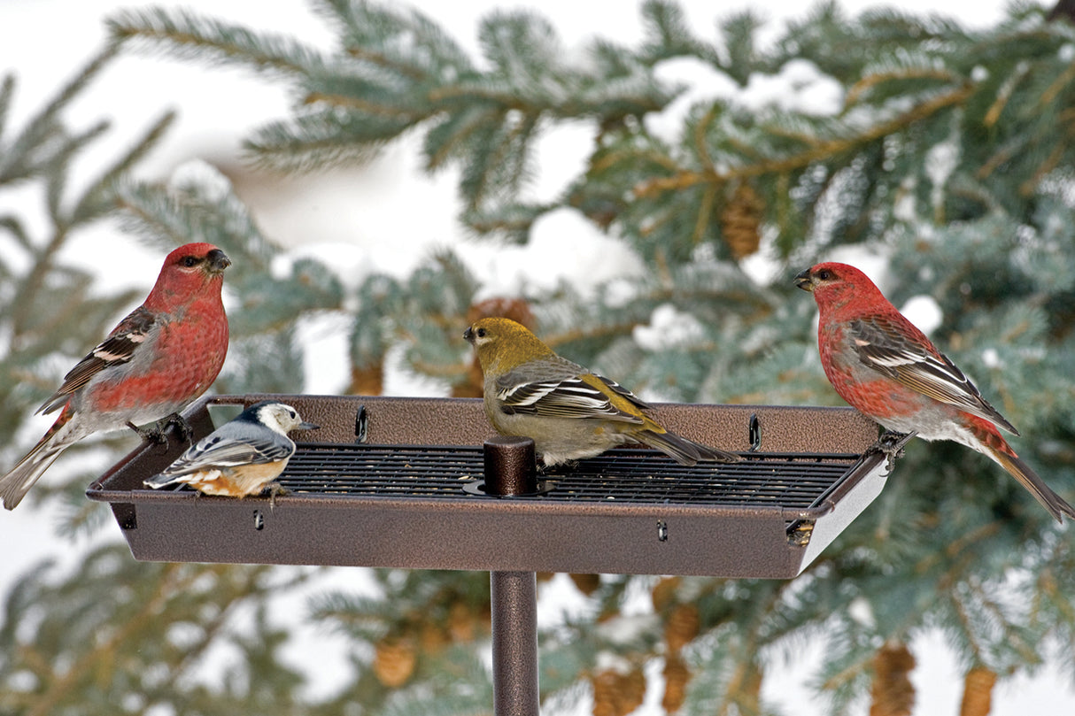 3 In 1 Platform Feeder with multiple birds perched on it, showcasing its versatility as a hanging, post-mounted, or ground feeder.