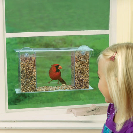 A clear window-mounted bird feeder filled with seeds, with a red cardinal perched on the front, while a young girl in a purple shirt looks out the window.