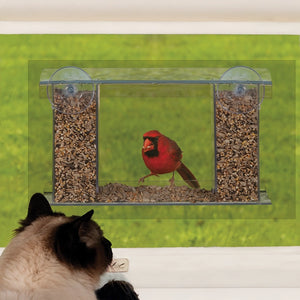 Duncraft Songbird Mirrored Window Feeder with a cat watching a bird at the feeder outside a window. Features clear plastic hoppers and a removable roof.