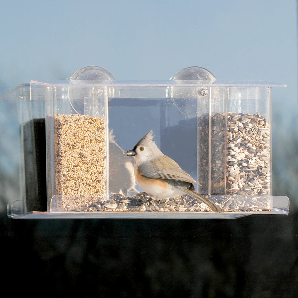 Duncraft Songbird Mirrored Window Feeder with a bird perched inside, eating seeds. The clear plastic feeder attaches to the window with two suction cups.