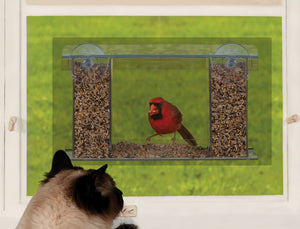 Duncraft Songbird Mirrored Window Feeder with a cat watching a bird at the feeder outside a window. Features clear plastic hoppers and a removable roof.