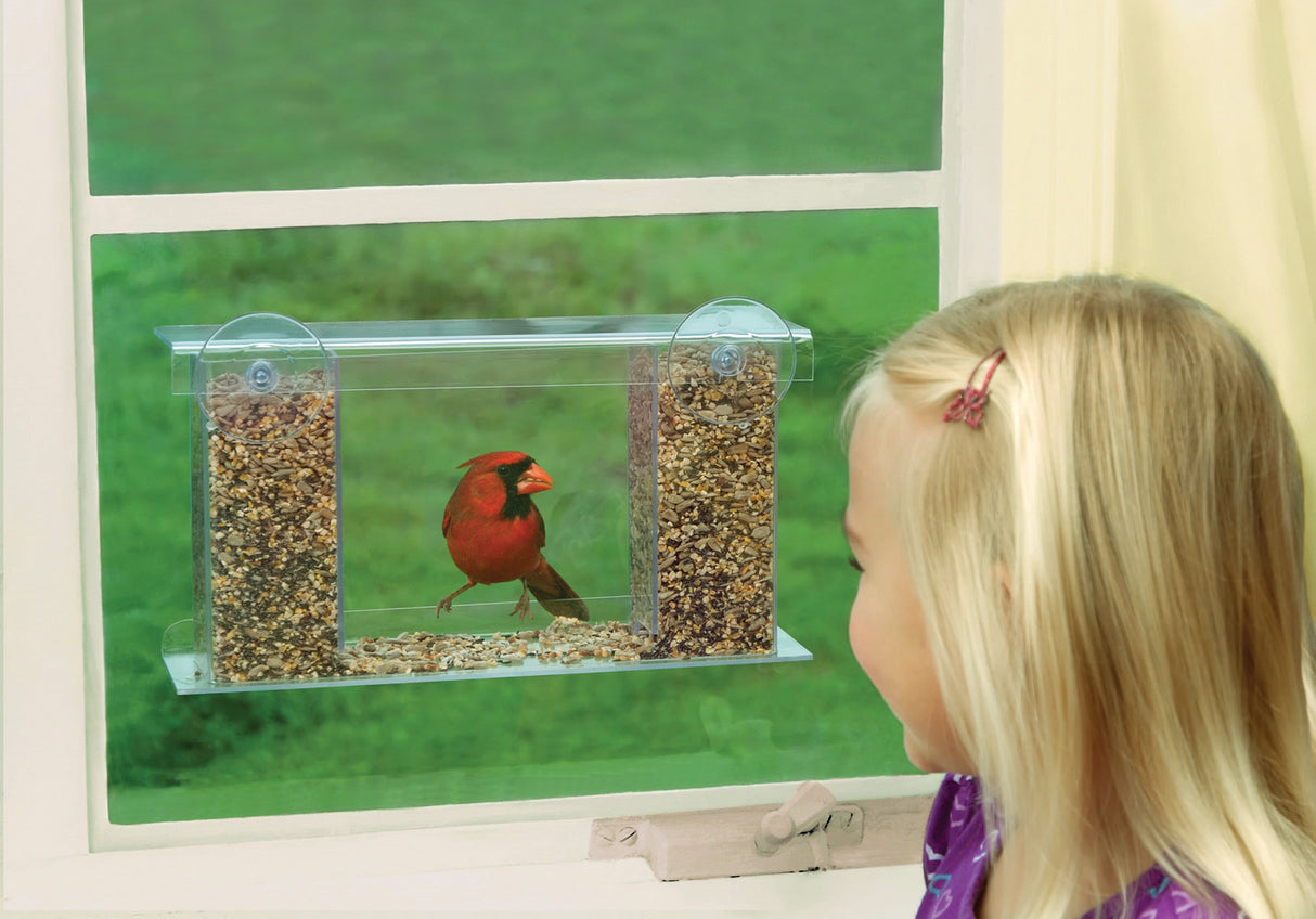 Duncraft Songbird Mirrored Window Feeder: A girl observes a red bird feeding from a window-mounted bird feeder with a mirrored film.