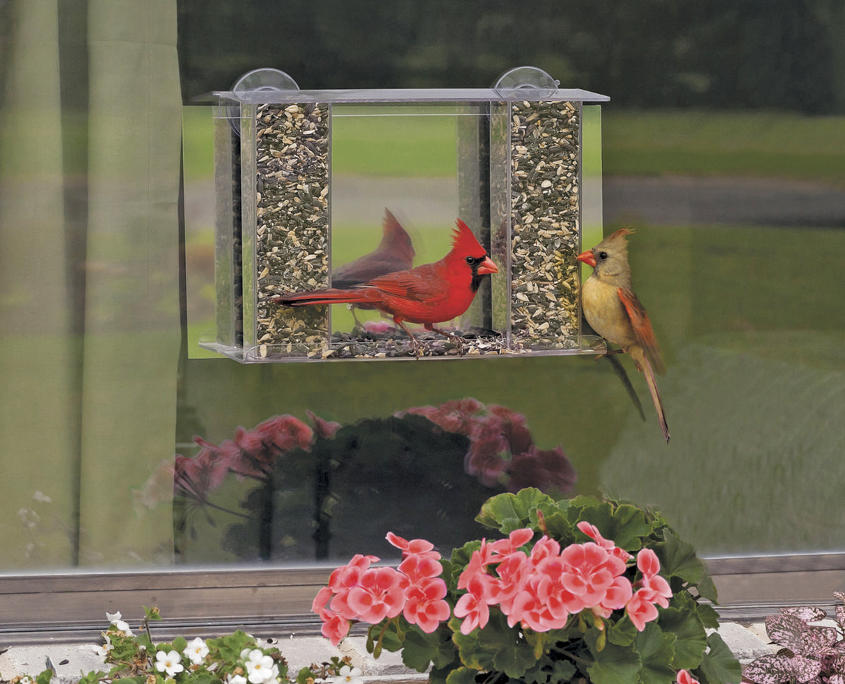 Duncraft Super Songbird Mirrored Feeder with cardinal perched, featuring clear plastic design, removable roof, and one-way mirror film for undisturbed bird watching.