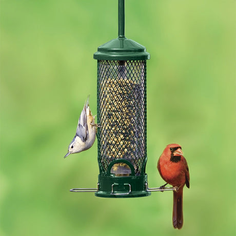 Brome Squirrel Buster Mini bird feeder with a bird perched on it, showcasing its squirrel-proof design and multiple feeding ports for bird access.