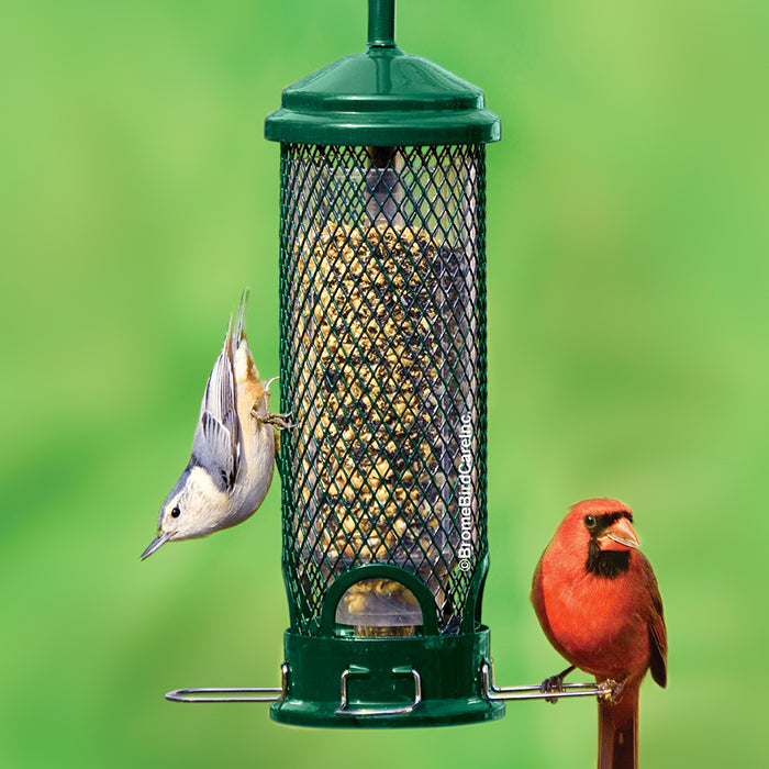 Brome Squirrel Buster Mini bird feeder with a weight-sensitive metal mesh, attracting birds while preventing squirrels from accessing seed.