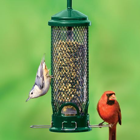 Brome Squirrel Buster Mini bird feeder with a weight-sensitive metal mesh, attracting birds while preventing squirrels from accessing seed.