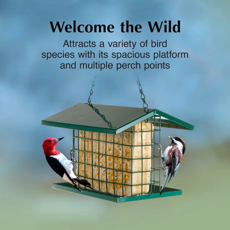 EZ Fill Deluxe Suet & Block Feeder with metal cage, roof, and perch tray. Two birds feed on suet block, showcasing its multi-perch design.