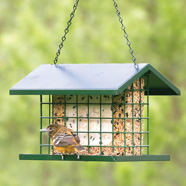 EZ Fill Deluxe Suet & Block Feeder with bird perched on mesh sides, featuring metal roof and ample perching area for larger birds.