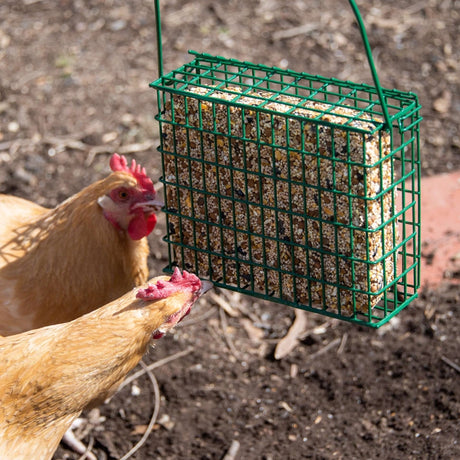 EZ Fill Suet & Block Feeding Basket with green wire mesh, holding a seed cake, with two chickens pecking at it in a garden setting.
